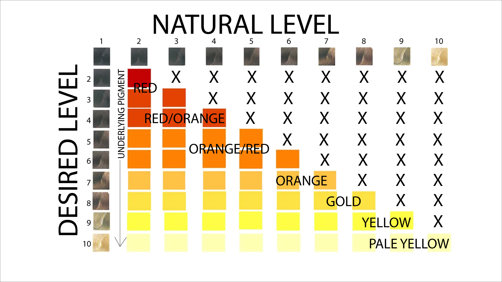 Level System Chart